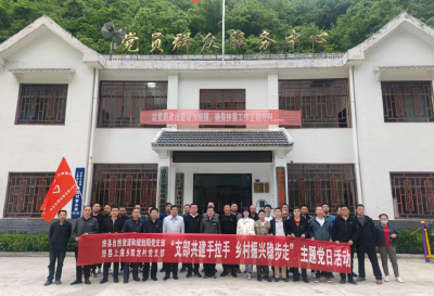 县自然资源和规划局：支部共建手拉手  乡村振兴稳步走