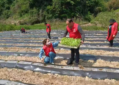 白鹤镇：从细处着手，扎实开展我为群众办实事