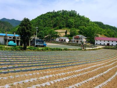 姚坪乡：坚决守住防返贫底线