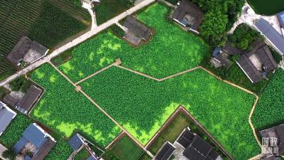 军店镇财政所四到位守护档案安全