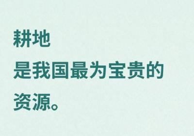 习言道｜“耕地是粮食生产的命根子”