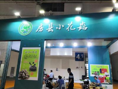 房县小花菇惊艳亮相第三届中国食用菌产业博览会