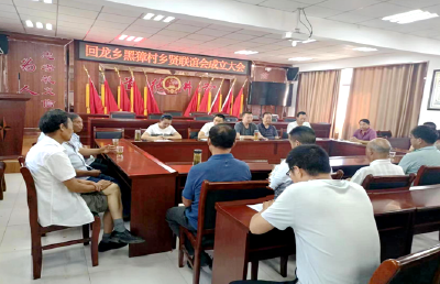 回龙乡首个村级乡贤联谊会成立