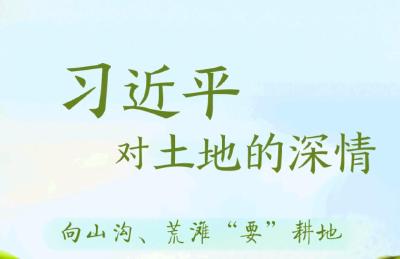 绘学习｜习近平对土地的深情