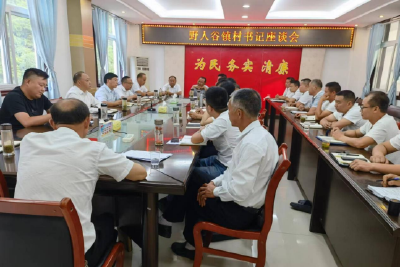 野人谷镇召开村党支部书记座谈会