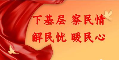 县卫健局扎实推进党员干部下基层察民情解民忧暖民心实践活动