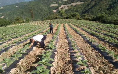 九道乡开展下基层察民情解民忧暖民心实践活动