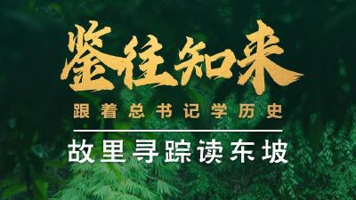 鉴往知来，跟着总书记学历史丨故里寻踪读东坡