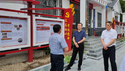 王斌赴九道乡调研村“两委”换届后班子运行情况和基层党建工作