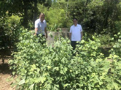 彭茂盛深入姚坪乡看望慰问基层党员