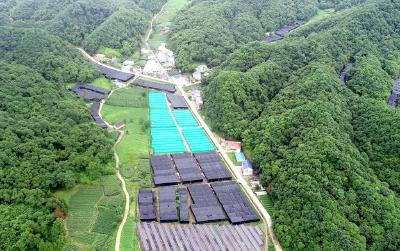 房县供销社入围全国首批县域流通服务网络强县名单