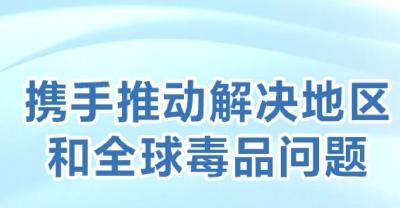 时习之 把禁毒工作深入开展下去 习近平强力部署