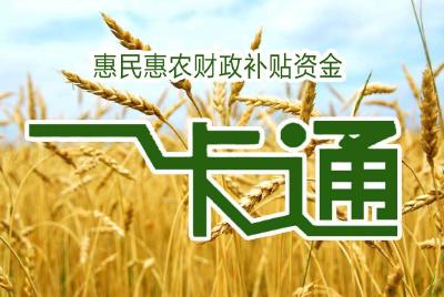 野人谷镇财政所：整治“一卡通”突出问题惠民惠农