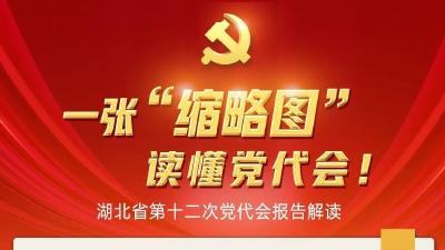 收藏 | 一张“缩略图”，读懂湖北省党代会！