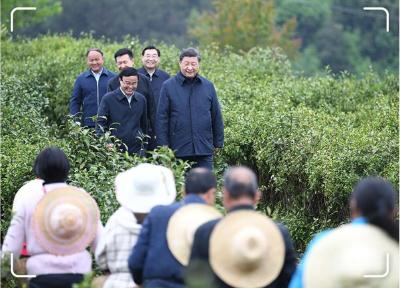 近镜头丨“五位书记”同框照背后的故事