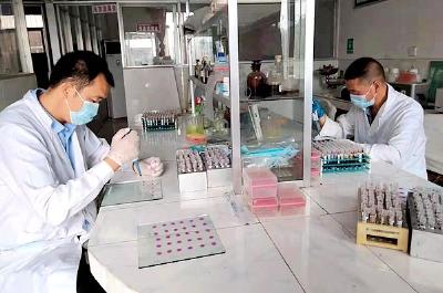 房县开展全域布鲁氏菌病抗原检测