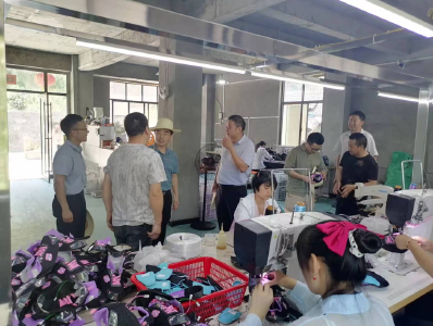 姚坪乡：走访调研解困境 助力优化营商环境