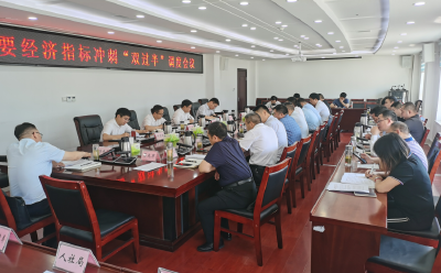 谢晓鸣要求：加强经济调度 加大工作力度 奋力实现“双过半”