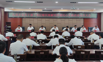 九道乡召开党员干部下基层察民情解民忧暖民心实践活动动员部署会