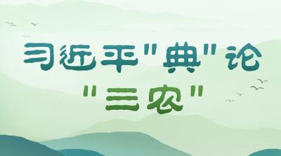习近平“典”论“三农”