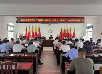 沙河乡召开党员干部下基层察民情解民忧暖民心实践活动动员大会