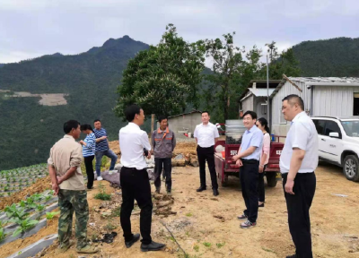 市公共检验检测中心赴房县义渡坪村开展党员干部“下基层察民情解民忧暖民心”实践活动