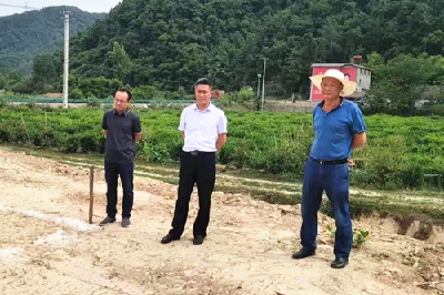 土城镇：念好“清、勤、心、情”四字真经，扎实推进“下基层、察民情、解民忧、暖民心”实践活动