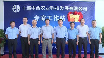 湖北省农科院“院士专家工作站”在我县揭牌