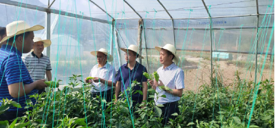 林云国到化龙堰镇、军店镇开展“下察解暖”实践活动