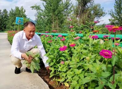 心系村民情满沙坪  ——记红塔镇沙坪村党支部书记徐丹