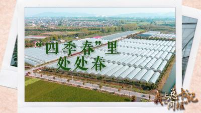 我与总书记“同框”丨“四季春”里处处春