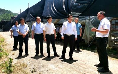 谢晓鸣在野人谷镇调研时强调：加强生态保护 做强特色产业 推动乡村振兴