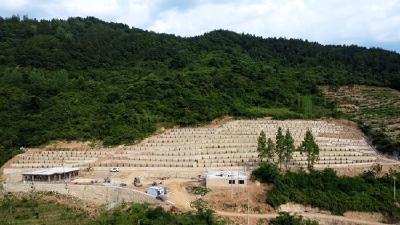 白鹤镇民生项目集镇公墓建设稳步推进