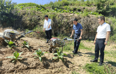 林云国到白鹤镇开展下基层察民情解民忧暖民心实践活动