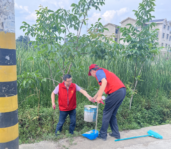 房县乡村振兴局：“三个到位”助力创文工作落实落地