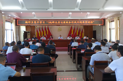姚坪乡：“三个突出”夯实“清廉姚坪”建设