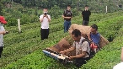 门古寺镇赴宜昌市宜都市考察学习 