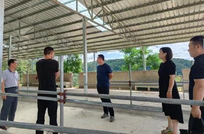 县退役军人事务局：深入走访军创企业  助力退役军人创业创新
