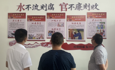 化龙堰镇财政所：强化廉政监督  涵养风清气正  