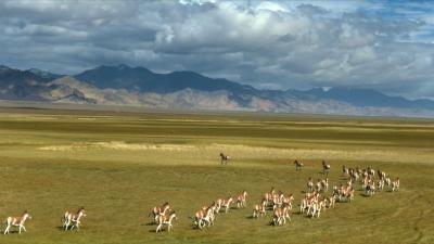 跟着总书记的考察足迹｜瞰新疆