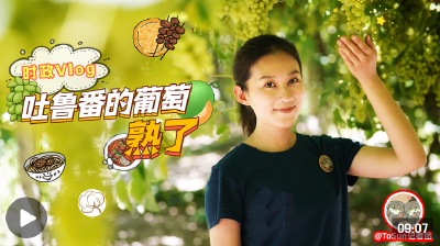 
时政Vlog丨吐鲁番的葡萄熟了！