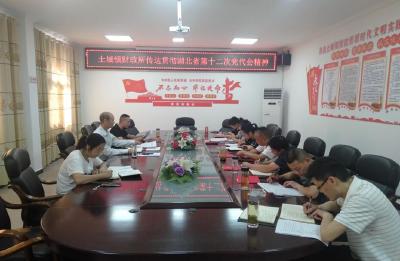 土城镇财政所贯彻学习湖北省第十二次党代会精神