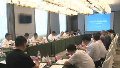 纪道清主持召开抽水蓄能电站项目建设推进会