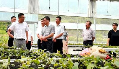 房山区发改委副主任周宝东一行来房  考察对口协助项目