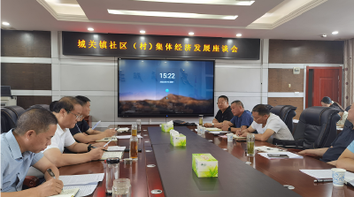 房县城关镇：集思广益共谋集体经济发展