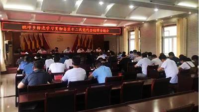 姚坪乡：传承红色基因  共庆党的诞辰