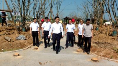 纪道清调研督导城建重点项目建设工作