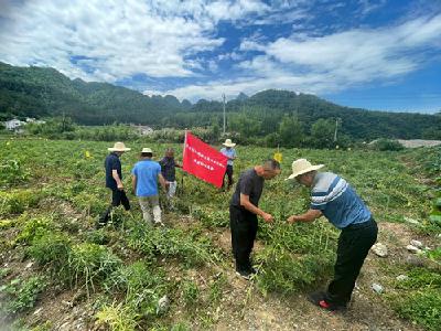 房县千余“科技特派员”助力乡村产业振兴