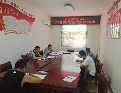 尹吉甫镇财政所：召开学习习近平总书记考察湖北重要讲话精神专题会