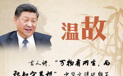 文明之美看东方丨温故：万物有所生，而独知守其根